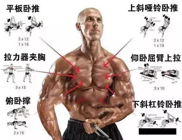健身圈18个怪现象,你见过几个? 健身圈18个怪现象,你见过几个?